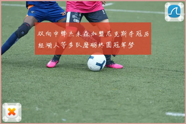 双向中锋杰米森加盟尼克斯夺冠历经湖人等多队磨砺终圆冠军梦